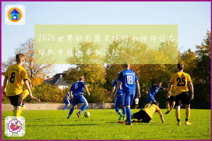 2026世界杯外围买球时如何评估各球队夺冠概率和风险-