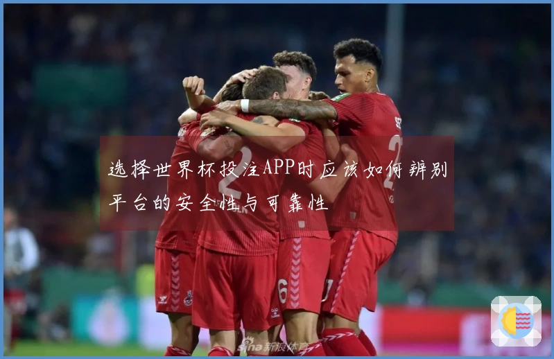 选择世界杯投注APP时应该如何辨别平台的安全性与可靠性