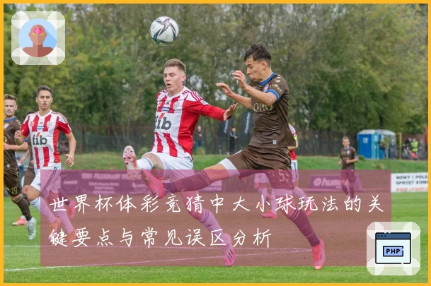 世界杯体彩竞猜中大小球玩法的关键要点与常见误区分析