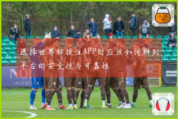 选择世界杯投注APP时应该如何辨别平台的安全性与可靠性