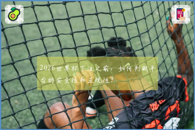 2026世界杯下注之前，如何判断平台的安全性和正规性？