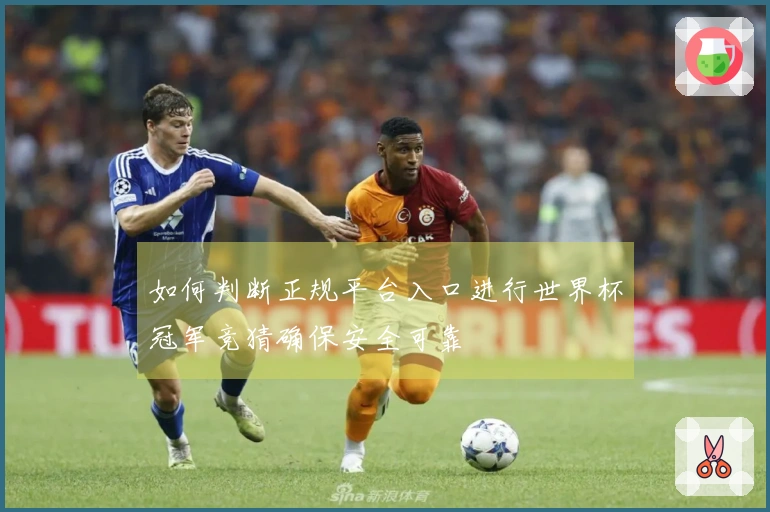 如何判断正规平台入口进行世界杯冠军竞猜确保安全可靠