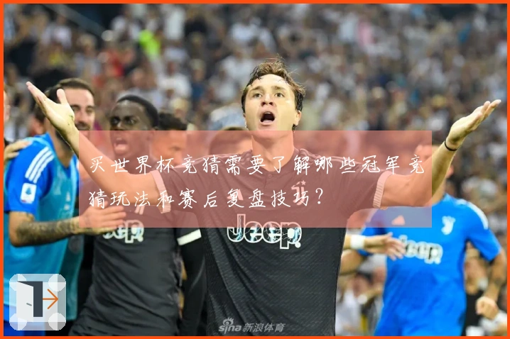 买世界杯竞猜需要了解哪些冠军竞猜玩法和赛后复盘技巧？