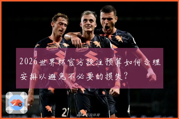 2026世界杯官方投注预算如何合理安排以避免不必要的损失？
