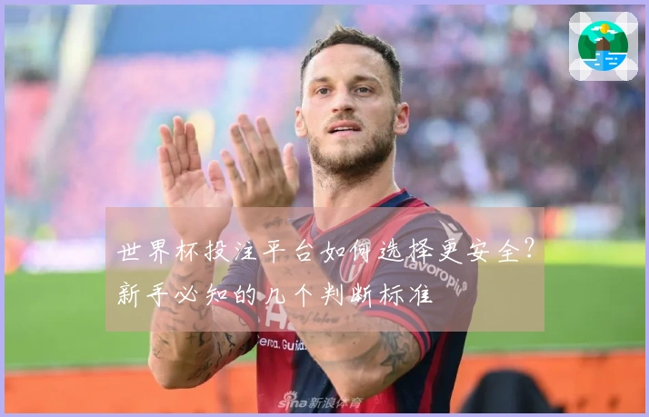 世界杯投注平台如何选择更安全？新手必知的几个判断标准