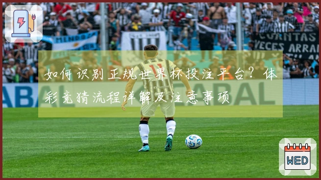 如何识别正规世界杯投注平台？体彩竞猜流程详解及注意事项
