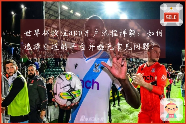 世界杯投注app开户流程详解,如何选择合适的平台并避免常见问题?