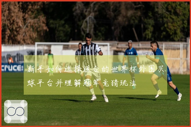 新手如何选择适合的世界杯外围买球平台并理解冠军竞猜玩法