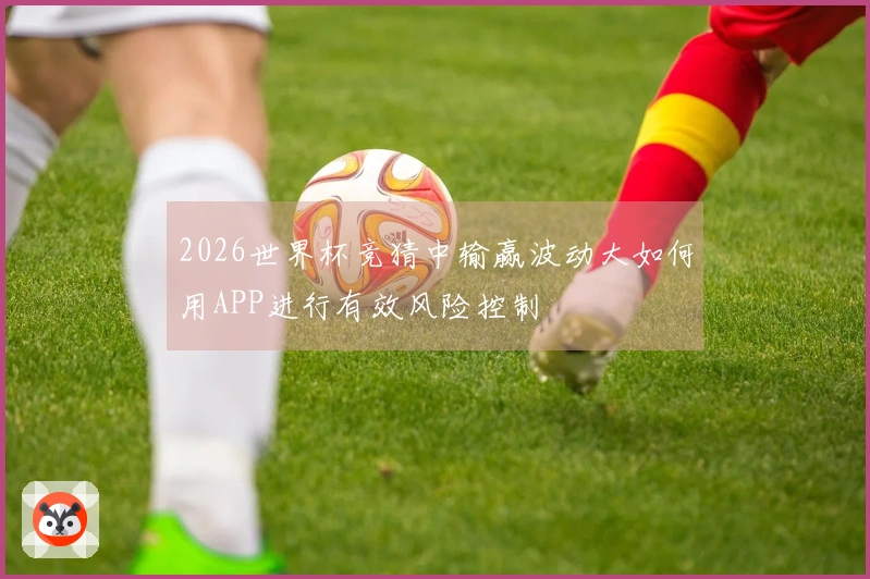 2026世界杯竞猜中输赢波动大如何用APP进行有效风险控制