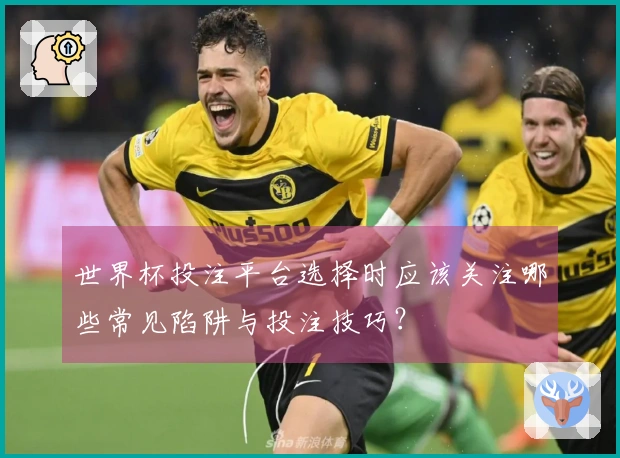 世界杯投注平台选择时应该关注哪些常见陷阱与投注技巧？
