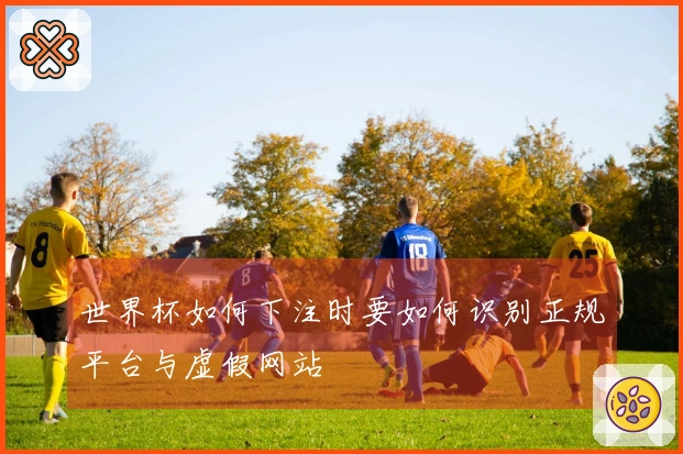 世界杯如何下注时要如何识别正规平台与虚假网站