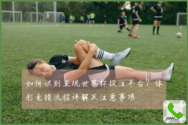 如何识别正规世界杯投注平台？体彩竞猜流程详解及注意事项