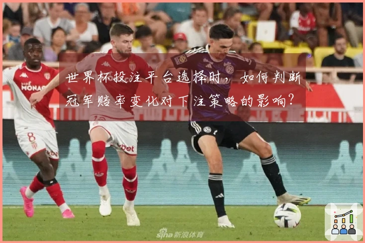 世界杯投注平台选择时，如何判断冠军赔率变化对下注策略的影响？
