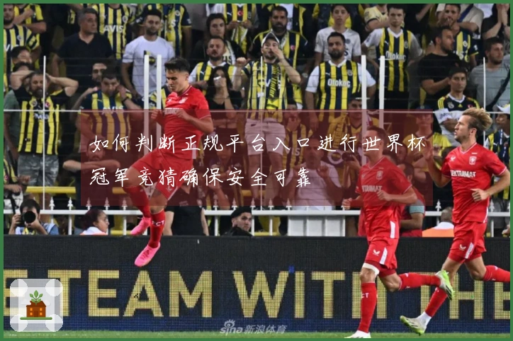 如何判断正规平台入口进行世界杯冠军竞猜确保安全可靠