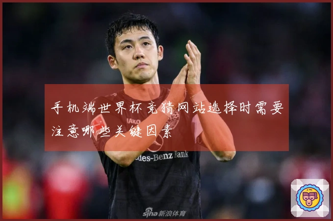 手机端世界杯竞猜网站选择时需要注意哪些关键因素