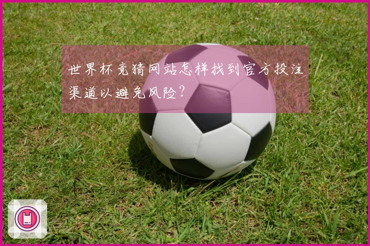 世界杯竞猜网站怎样找到官方投注渠道以避免风险？