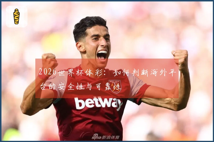 2026世界杯体彩：如何判断海外平台的安全性与可靠性