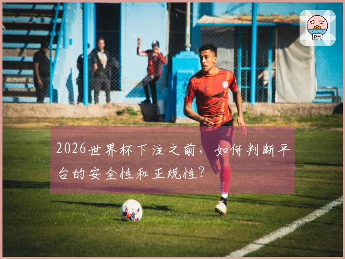2026世界杯下注之前，如何判断平台的安全性和正规性？