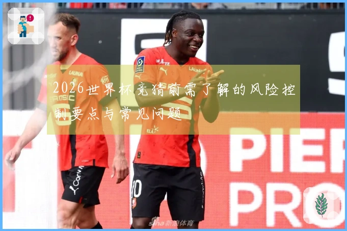 2026世界杯竞猜前需了解的风险控制要点与常见问题