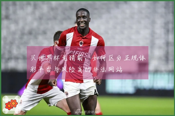 买世界杯竞猜前，如何区分正规体彩平台与风险高的非法网站