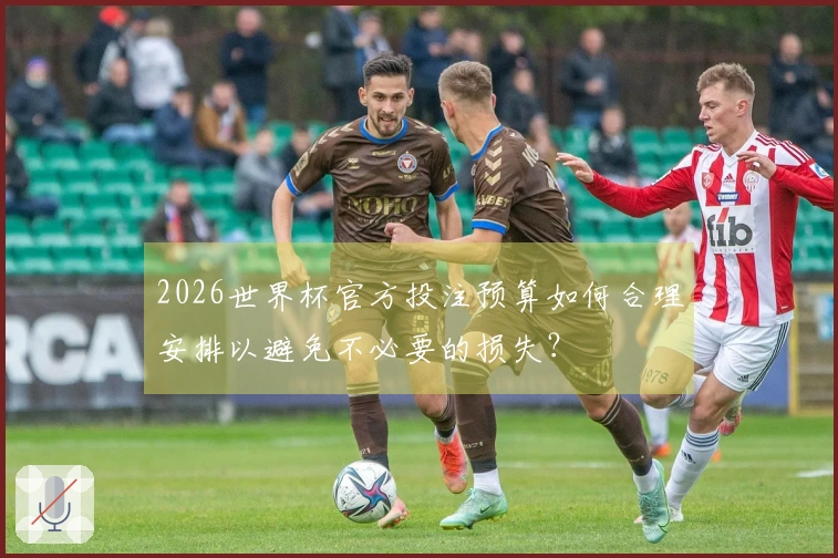 2026世界杯官方投注预算如何合理安排以避免不必要的损失？