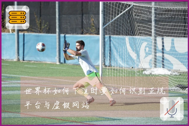 世界杯如何下注时要如何识别正规平台与虚假网站