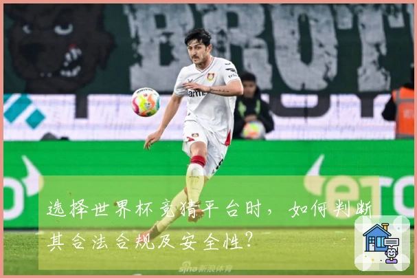 选择世界杯竞猜平台时，如何判断其合法合规及安全性？