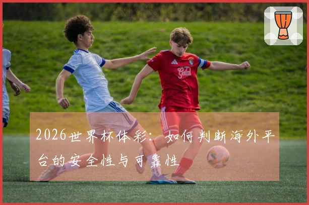 2026世界杯体彩：如何判断海外平台的安全性与可靠性