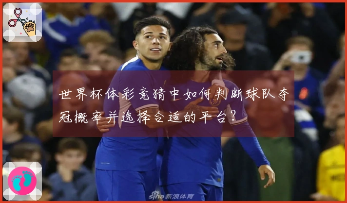 世界杯体彩竞猜中如何判断球队夺冠概率并选择合适的平台？