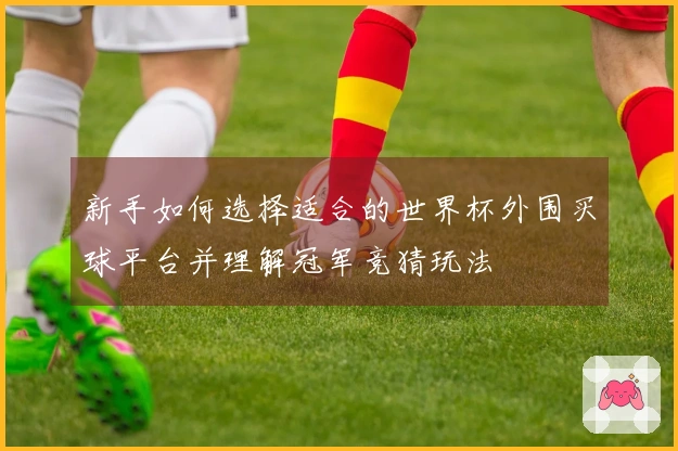 新手如何选择适合的世界杯外围买球平台并理解冠军竞猜玩法